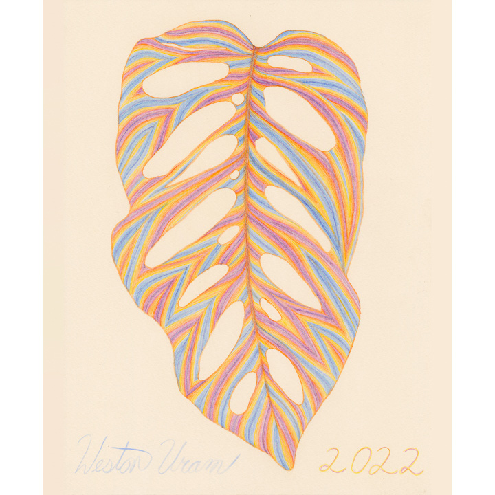 Large Monstera (Sunsets, Blue Orange and Purple)